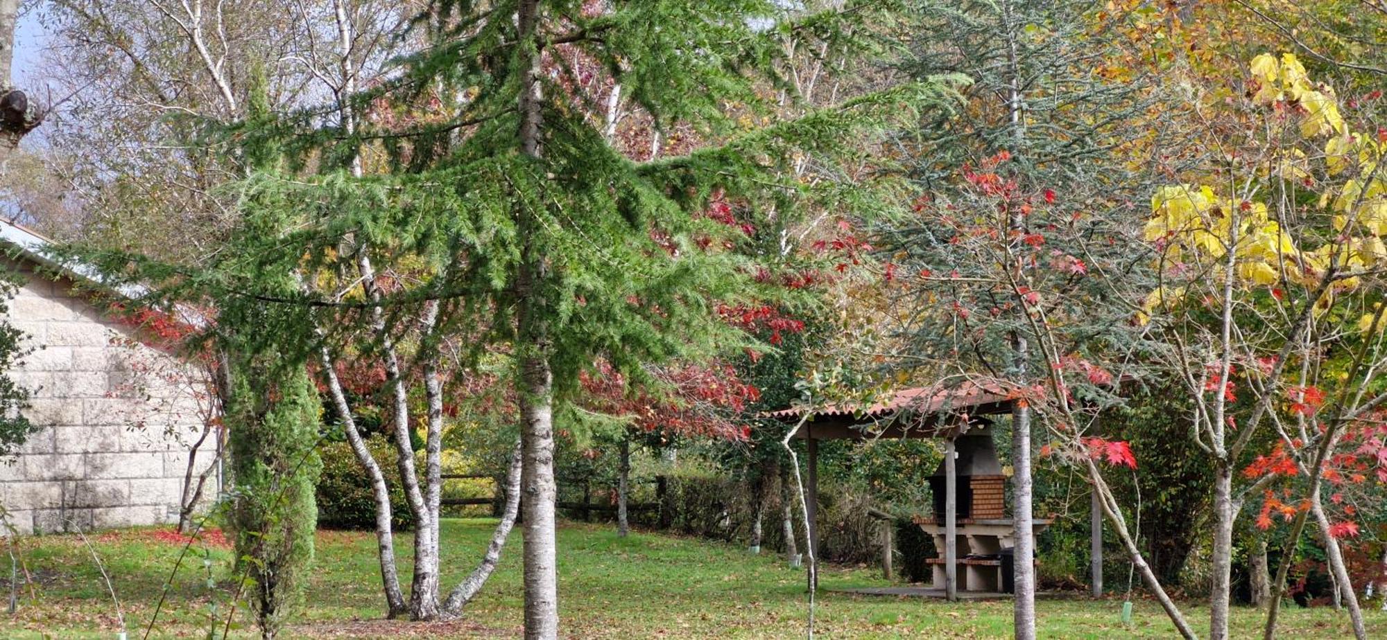 Bungalows - Serra Do Geres Campo do Geres Exteriér fotografie